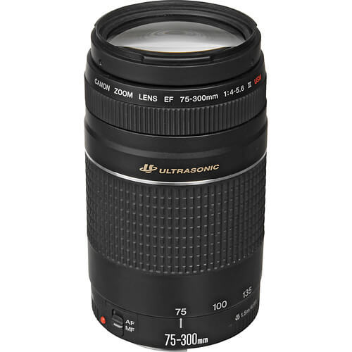 Lente-Canon-EF-75-300mm-f-4-5.6-III-USM