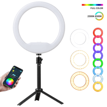 Iluminador Ring Light RGB 8" Weeylite WE-9 LED Circular 12W Bi-Color (2500K-8500K)